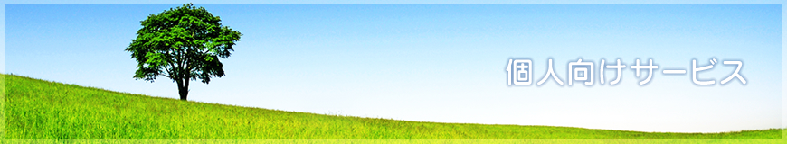 個人向けサービス